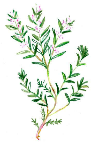 Regain p15 copy 352 xxx q85