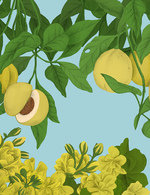 Lazo10 150 122x0x1538x1999 q85