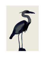 Blue heron 150 0x53x1070x1392 q85
