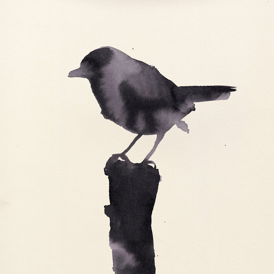 Little bird 551 xxx q85