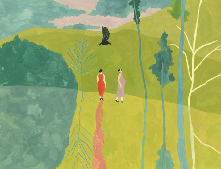 Birds correction 716 xxx q85