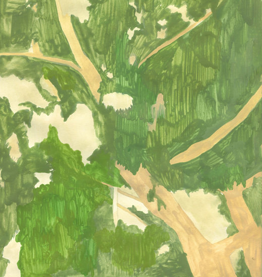 Window scan2 1 520 xxx q85