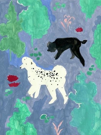 Riverside recovered recovered 1 413 xxx q85