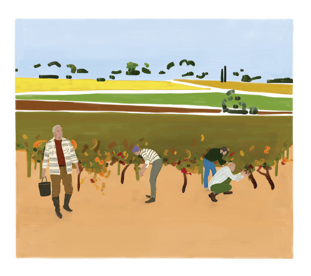 Wine label richaud 620 xxx q85