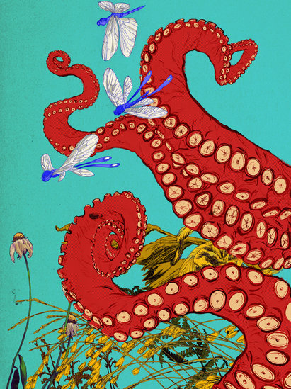 Dragonflies 411 xxx q85