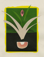 Cc a2 plant 01 150 0x17x1399x1820 q85