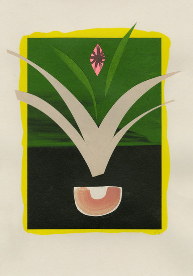 Cc a2 plant 01 385 xxx q85