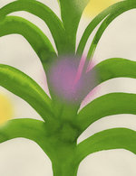 Savoir  faire1 150 0x127x2716x3533 q85