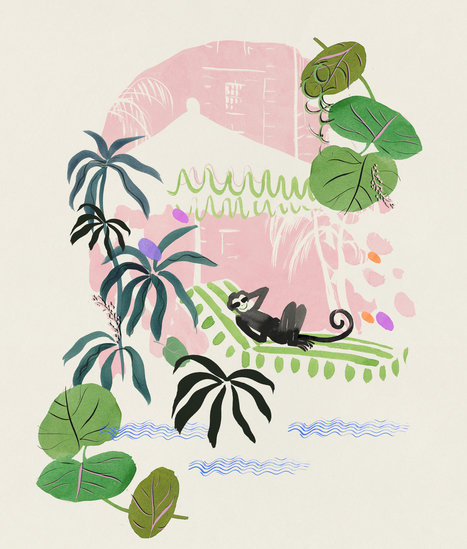 The colony johnnie  467 xxx q85