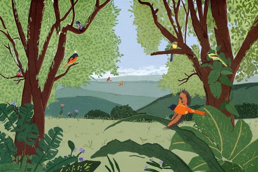 Chester zoo java round 02 823 xxx q85