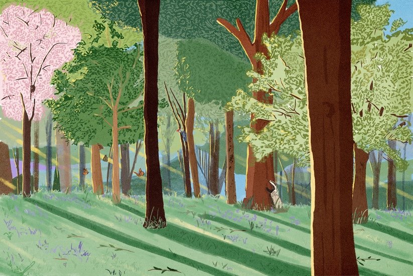 Chester zoo woodland round 02  823 xxx q85