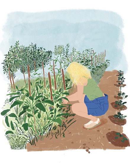 Ktima 1 ig 440 xxx q85