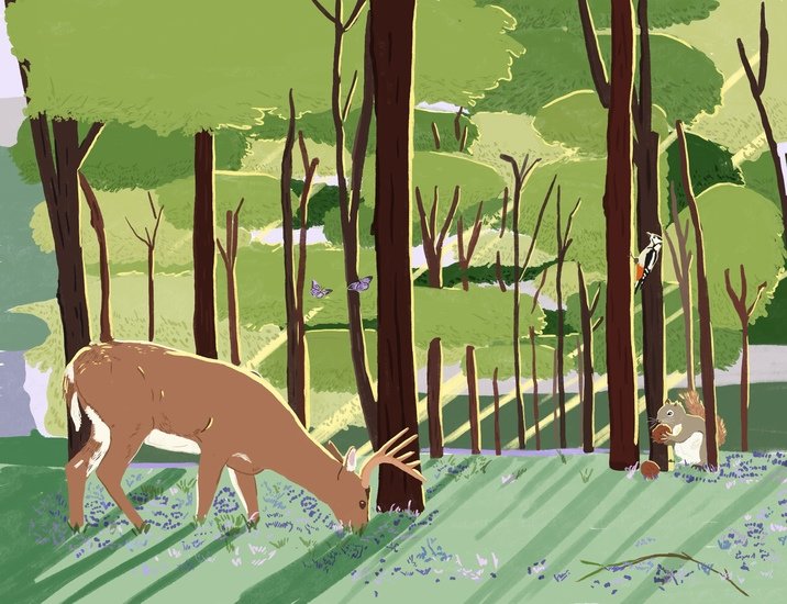 Phaidon friends 6 3 716 xxx q85