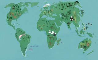 Phaidon map 3 2 320 0x508x6021x3668 q85