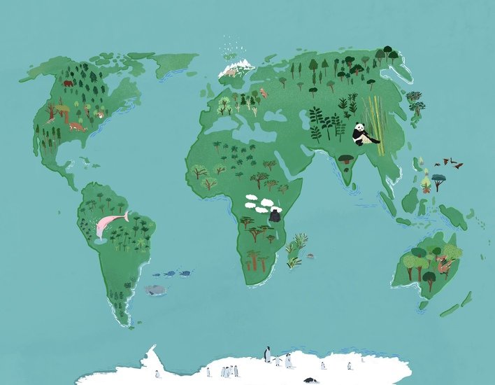 Phaidon map 3 2 708 xxx q85