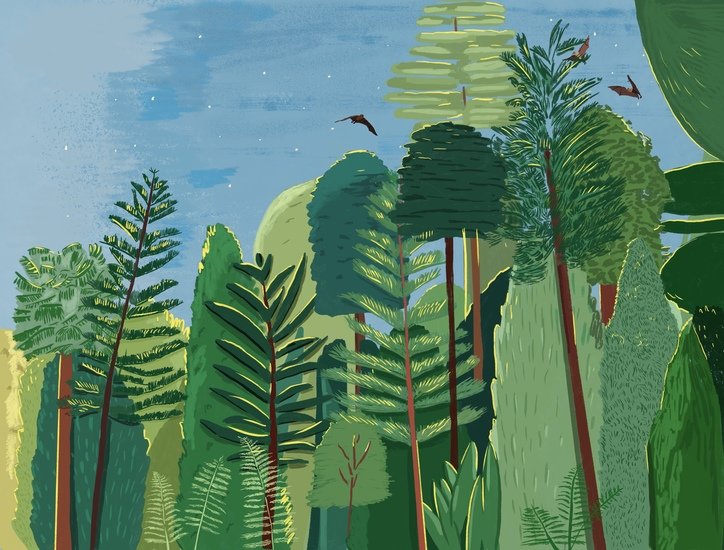 Phaidon mixed forest 07 2 724 xxx q85