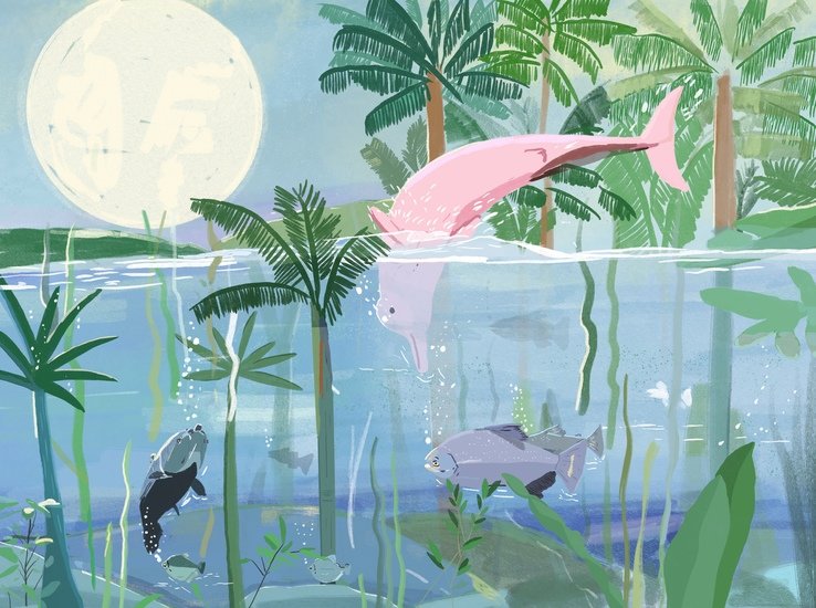 Phaidon water 10 738 xxx q85