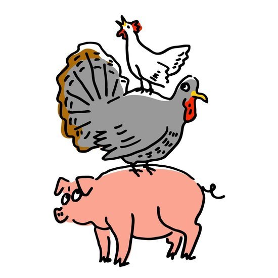 Animal 4 550 xxx q85