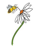 Animal 3 150 173x0x1153x1499 q85