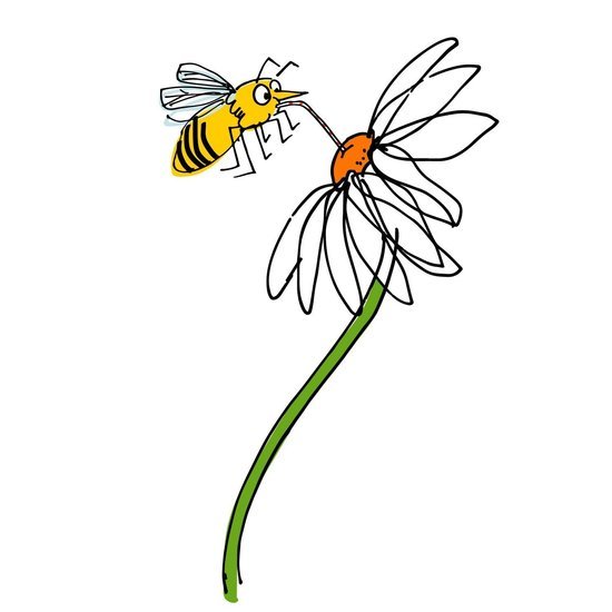 Animal 3 550 xxx q85