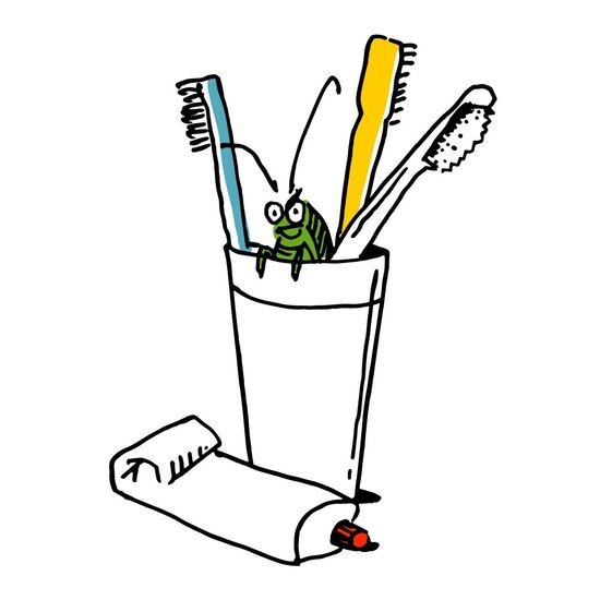 Animal 2 550 xxx q85