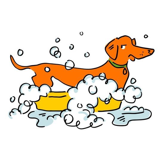 Animal 5 550 xxx q85