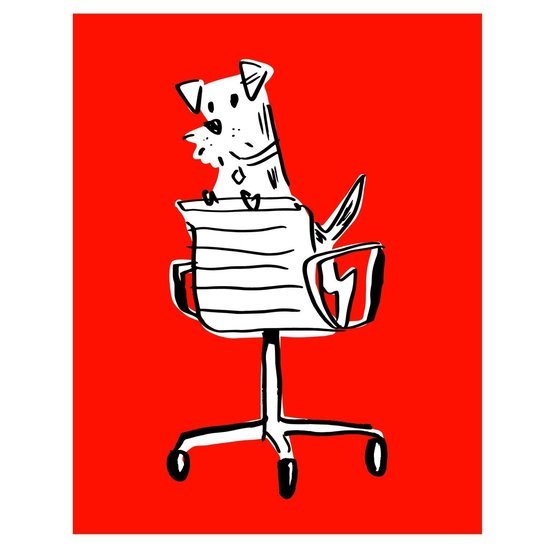 Animal 9 550 xxx q85