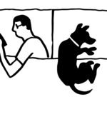 Auto 6 150 173x0x1153x1499 q85