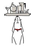 Dwr 5 150 173x0x1153x1499 q85