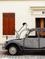 Photo 13 150 276x164x948x1232 q85