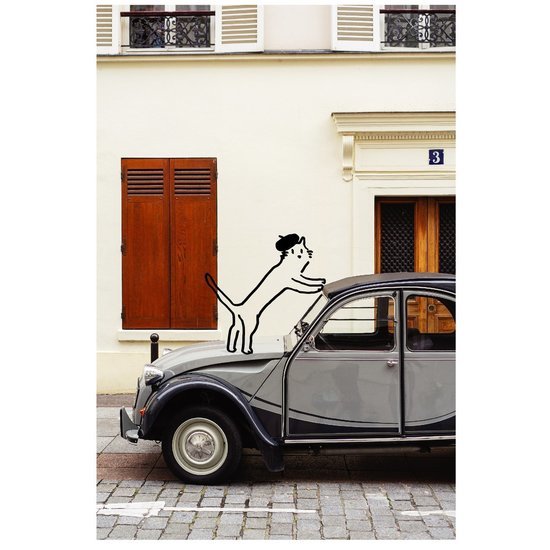 Photo 13 550 xxx q85