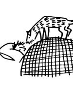 Thick line 2 150 84x0x1153x1499 q85