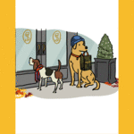 Ts dogs 150 173x0x1153x1499 q85