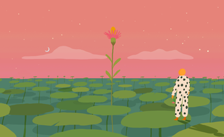 Fields of wonder b 1 320 144x0x3543x2159 q85