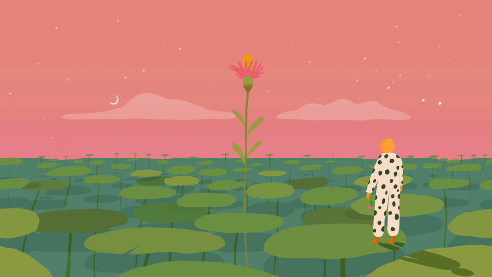 Fields of wonder b 1 978 xxx q85