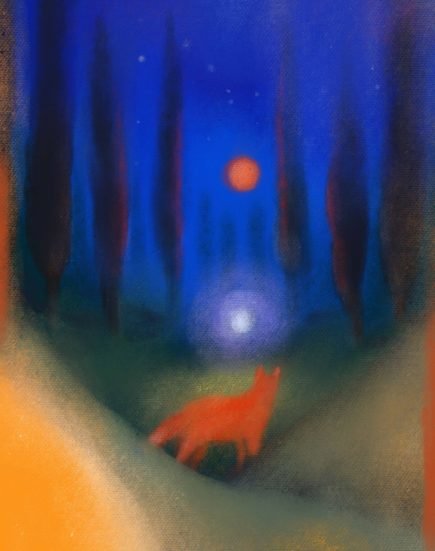 Light found the fox copy 1400x1772 435 xxx q85