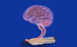 Untitled artwork 320 0x289x9273x5650 q85