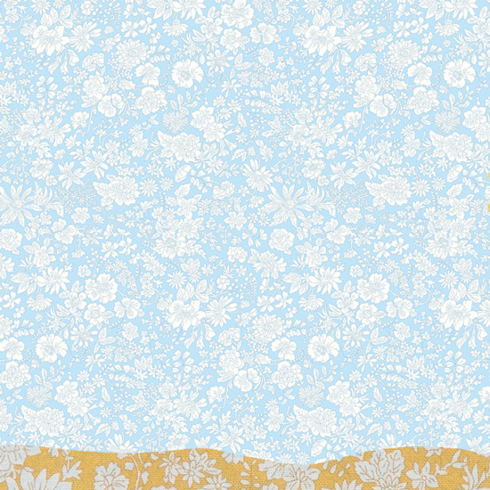 Image asset 5 550 xxx q85