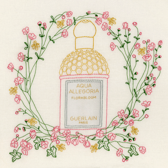 Image asset 550 xxx q85