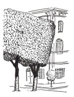 Arrezzo 150 173x0x1153x1499 q85