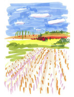 Italian countryside 1 150 173x0x1153x1499 q85