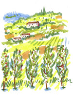 Italian countryside 3 150 173x0x1153x1499 q85