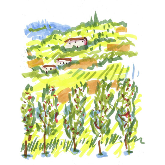 Italian countryside 3 550 xxx q85