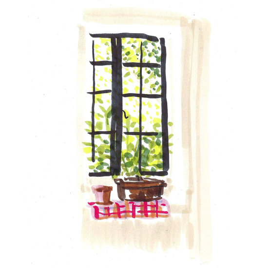 Summer window 550 xxx q85