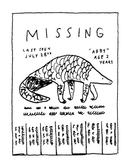 Lsberke bw abbymissingflyer 428 xxx q85