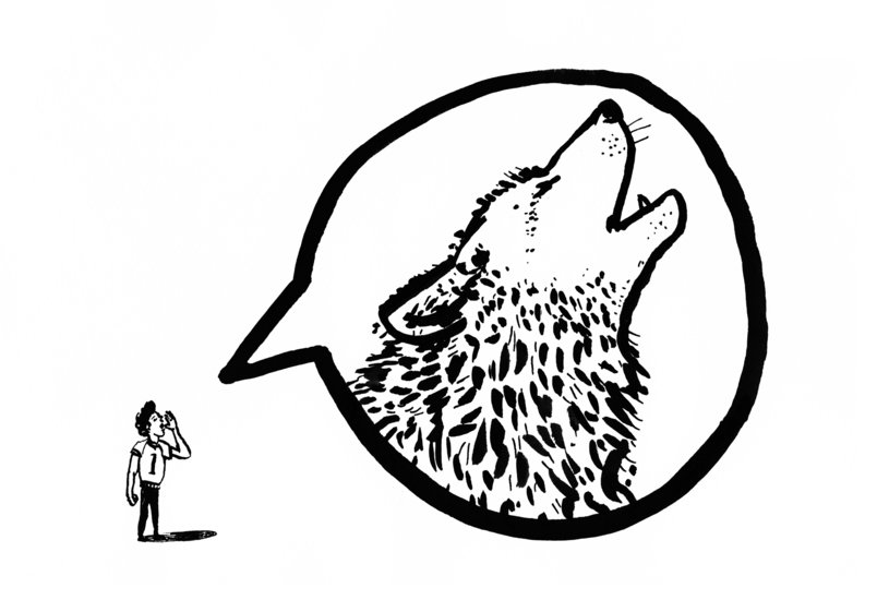 Lsberke bw fd tellingstories 815 xxx q85