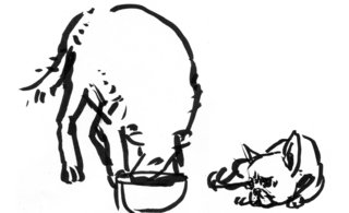 Lsberke bw justvfairsketchc 320 0x171x1893x1156 q85