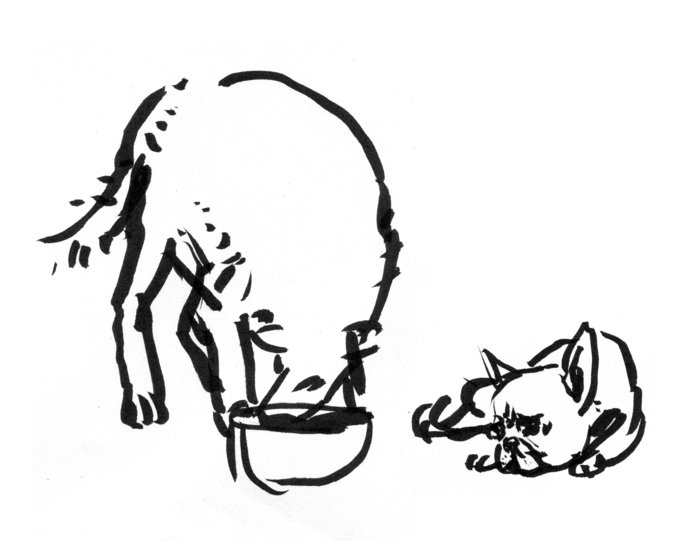 Lsberke bw justvfairsketchc 694 xxx q85