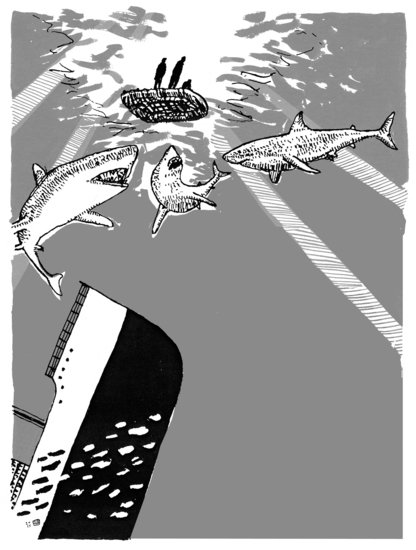 Lsberke bw morgancitysharks 416 xxx q85