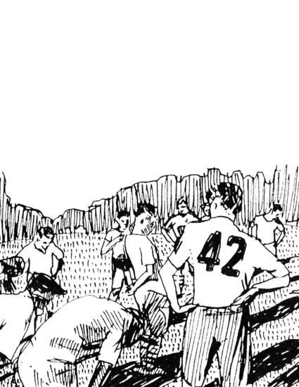 Lsberke bw player42 425 xxx q85